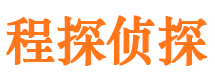 长武侦探公司